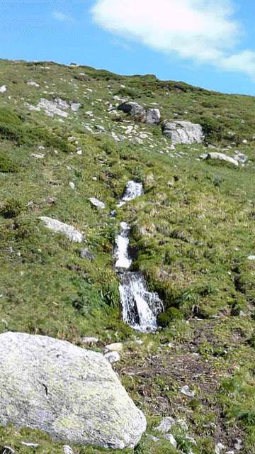 ... munterer Bergbach