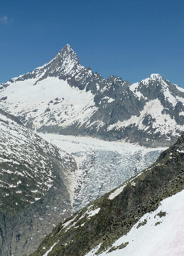 Finsteraarhorn vom Risihorn