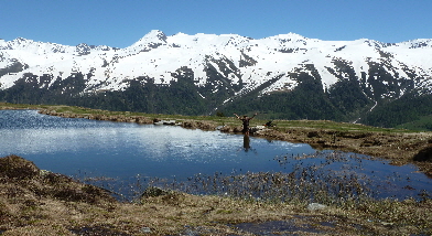 ... frischer Bergsee.